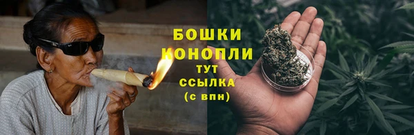 прущие грибы Арсеньев