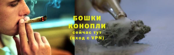 спиды Аркадак