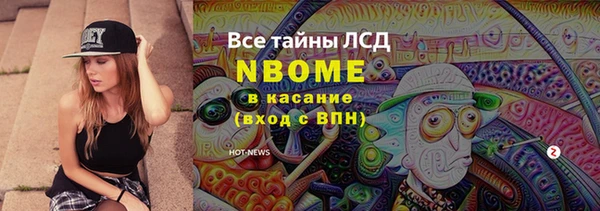 прущие грибы Арсеньев