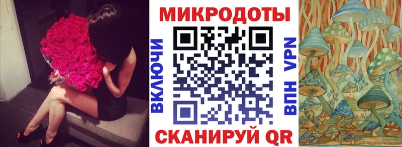 Галлюциногенные грибы Psilocybine cubensis  Сортавала 